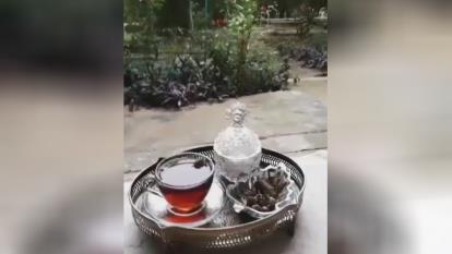 کلیپ دلنشین و آرامش بخش