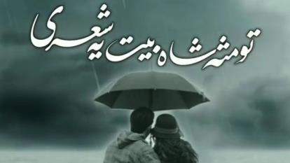 تو مثل شاه بیت یه شعری که نمیاد وسط دفتر •♫ تو مثل پرواز زیبایی روی بال باز یه ک