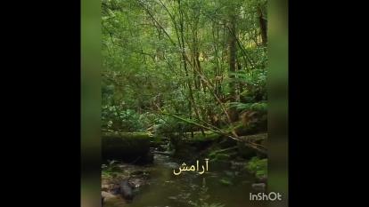 ارامش محض 🌿☘🍃🍀🌿