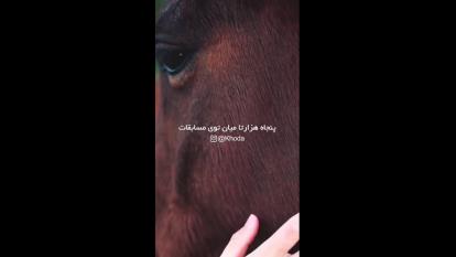 قهرمان افسانه ای مسابقات ویمبلدون. ⭐