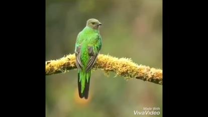 با چشمای بیدار دنیا قشنگه 🙏🐬💙🐳