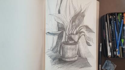 طراحی طبیعت بیجان. کل به جز