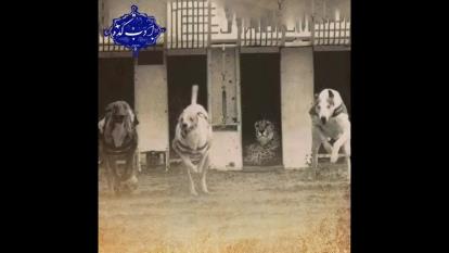 یک کلیپ انگیزشی بسیار زیبا