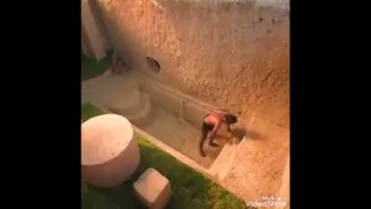 خلق فوق العاده یه زندگی جدید