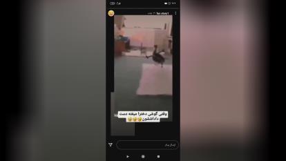 کلیپ خنده😜😂