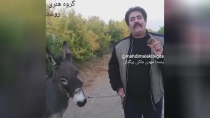 کسب و کار الان