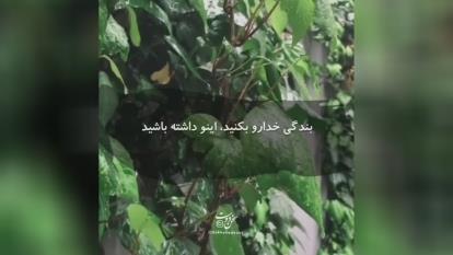 خدا چه عهدی از بنی اسرائیل گرفت