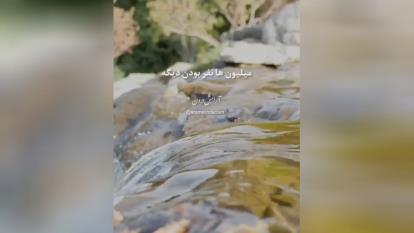 ثواب آیه الکرسی