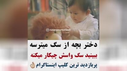 دختر بچه از سگ میترسه ببینید سگ واسش چیکار میکنه!