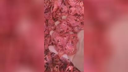 خرید میوه خشک در آذربایجان