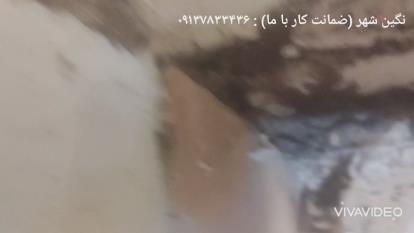 سم پاشی نگین شهر در اصفهان