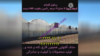 پدکولر