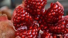 صنعت بسته بندی خدای مهربانم