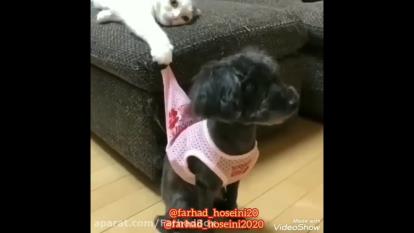 سگرو داشته باش