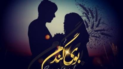 مصر بوی گندم
