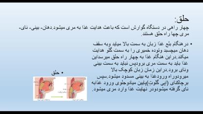 تدریس کتاب علوم پایه هفتم