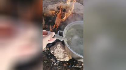 ای جان آش پختن در طبیعت( جای همگی خالی )