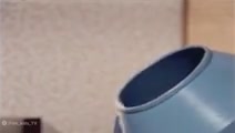 انیمیشن پت و مت