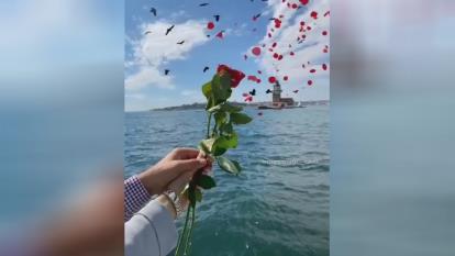 تقدیم گل سرخ به همه عاشقای خوب