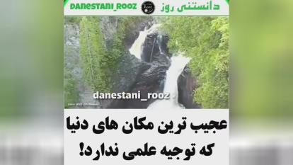عجیب ترین های دنیا که شاید باور نکنید