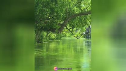 تو خدایی هستی در این کیهان_استادعباسمنش