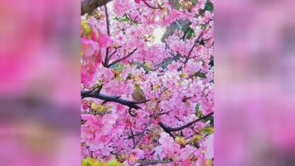 تحصیلات عامل ثروت_استادعباسمنش