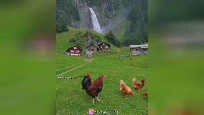 مدار جهان هستی