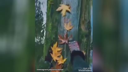 قدرت دست خداست_استادعباسمنش