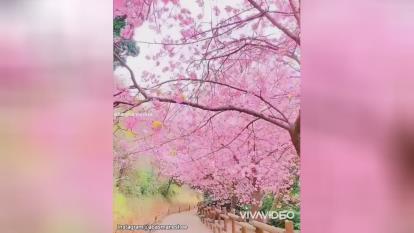 تصمیم_ استادعباسمنش