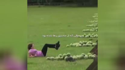 می تونست از اینم بدتر بشه