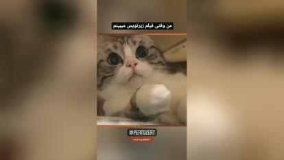 دقیقا کیا اینجوری ان ؟ 😂