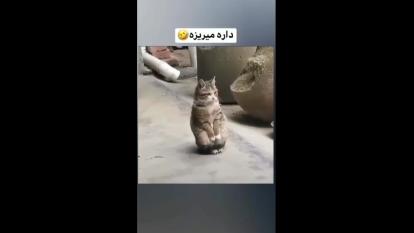 داره میریزه 😂😱😱😱😱