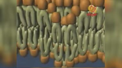 فصل 11 علوم هفتم.