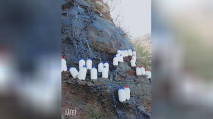 طبیعت بکر