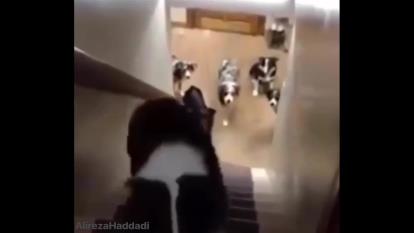لذت ببرید
