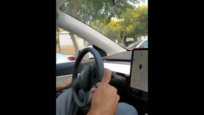 ببینید و لذت ببرید