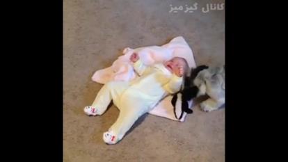 فقط بخندید