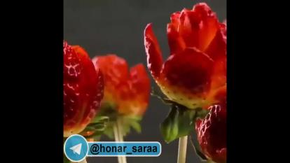 میوه آرائی