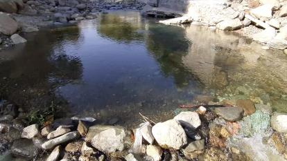 آب تنی می چسبه
