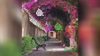 صبحتون بخیر