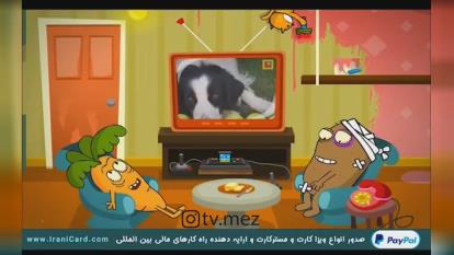 تی وی مز
