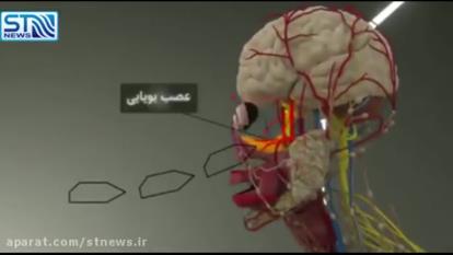 کانالمو حمایت کنیید !