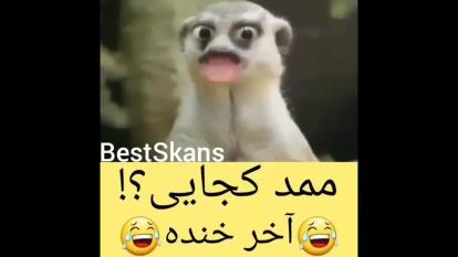 ممدا