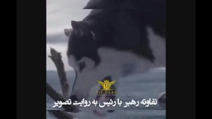 تفاوت بین مدیر و رهبر
