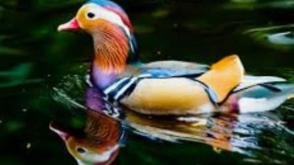 ویراژ دادن اینه