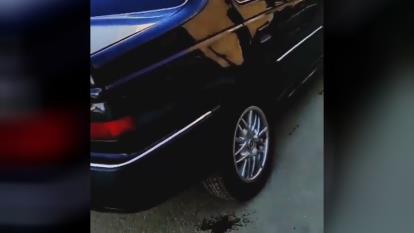 سلطان