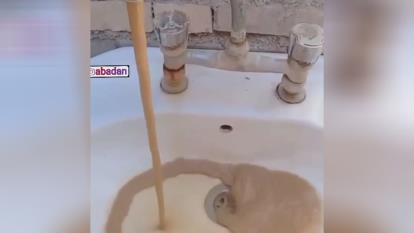 لوله کشی قهوه در آبادان