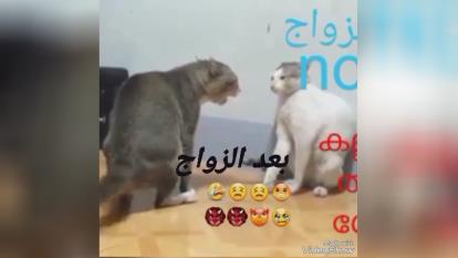 بعد و قبل ازدواج