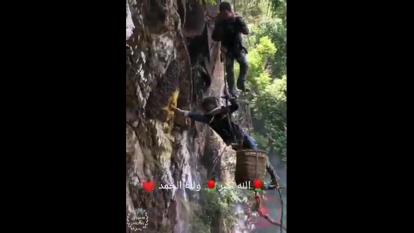 برداشت عسل از کوهستان از قدرت خداوند