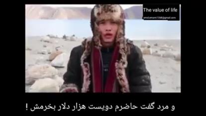ارزش زندگی شما چقدر است